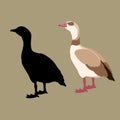 egyptian goose vector illustration style flat black Royalty Free Stock Photo