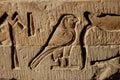 Egyptian hieroglyph