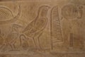 Egyptian hieroglyphic writing with Bird Symbols