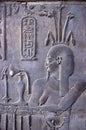 Egyptian Hieroglyphics Royalty Free Stock Photo