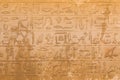 Egyptian hieroglyphics from saqqarah, cairo Royalty Free Stock Photo