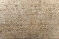 Egyptian hieroglyphs and ancient drawings on clay tablets and papyri background. The art of Egypt and the ancient