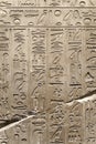 Egyptian hieroglyphs and ancient drawings on clay tablets and papyri background. The art of Egypt and the ancient