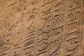 Egyptian hieroglyphs in detail