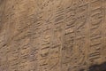 Egyptian hieroglyphs in detail