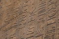 Egyptian hieroglyphs in detail