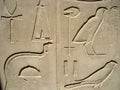 Egyptian hieroglyphs in Luxor