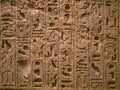 Egyptian hieroglyphs on a temple wall. Metropolitan Museum, New York,