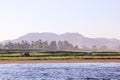 Egyptian landscape with camel on the bank.