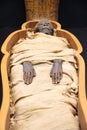 Egyptian mummy Royalty Free Stock Photo