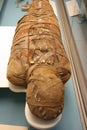 Egyptian Mummy Royalty Free Stock Photo