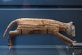 Egyptian mummy cat found inside tomb