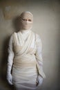 Egyptian mummy costume