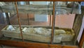 Egyptian mummy in a musem