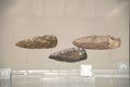 Egyptian Museum of Turin, Italy - February 2021: spearheads in flint from prehistoric times