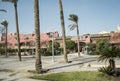 Egyptian palm trees-Hurghada-Egypt 230
