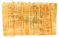 Egyptian papyrus with hieroglyphs, manuscript from The Karnak Temple, Luxor, Egypt.