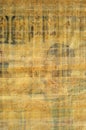Egyptian papyrus texture Royalty Free Stock Photo