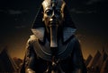 Egyptian pharaoh Sphinx statue in black marble at night in front of Giza pyramids. Royalty Free Stock Photo