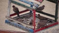 Egyptian pigeons on the territory of the hotel, tame birds, Egypt`s avifauna, a bird