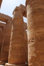 Egyptian pillars Royalty Free Stock Photo