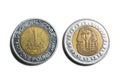 Egyptian pound coin avers and reverse