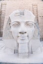 Egyptian sculpture of Ramses