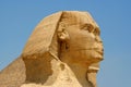 Egyptian sphinx Royalty Free Stock Photo
