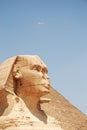 Egyptian sphinx Royalty Free Stock Photo