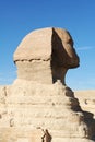 Egyptian sphinx Royalty Free Stock Photo