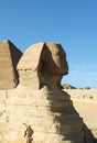 Egyptian sphinx Royalty Free Stock Photo