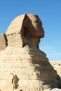 Egyptian sphinx Royalty Free Stock Photo