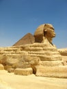 Egyptian sphinx