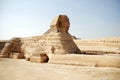 Egyptian sphinx in Cairo Royalty Free Stock Photo