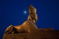 Egyptian sphinx and moon in Saint-Petersburg