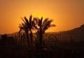 Egyptian sunset Royalty Free Stock Photo