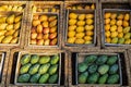 Egyptian or Tai fresh raw organic green and yellow mango in box at outdoor farmers market. Vegan food and healthy