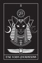 Egyptian tarot card The High Priestess with Bastet or Bast ancient Egyptian goddess sphynx cat in gothic style hand drawn vector