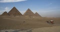 Egyptian wagon with horses against the background of the Egyptian pyramids in Giza