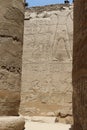 Egyptian wall paintings