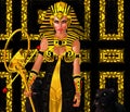 Egyptian Woman Pharaoh with black panther. Modern digital art fantasy.