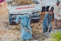 Egyptian workers cleaning hotel beach