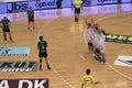 EHF Champions League Final - Viborg HK vs. GyÃÂ¶r