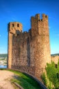 Ehrenfels Castle, Burg Ehrenfels on Rhine river near Ruedesheim and Bingen am Rhein, Hessen, Germany Royalty Free Stock Photo