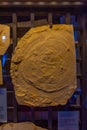 Eichstatt, Germany, August 14, 2022: Fossils at Jura museum in G