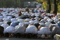 Eid al Adha prayers