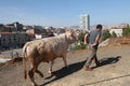 Eid-al-Adha in Turkey.