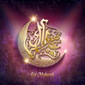 Eid Mubarak calligraphy design Royalty Free Stock Photo