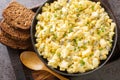 Eiersalat is a creamy German egg salad with cubes of crisp apple and crunchy sour pickles. closeup on the wooden board. Horizontal