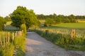 Eifel Field Lanes In Warm Evening Light, Germany